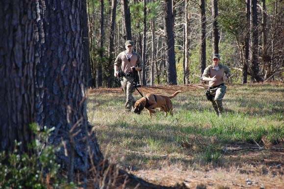 Two deputies running leading a blood hound