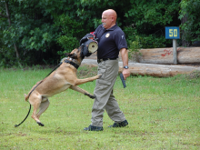 Deputy training a canine
